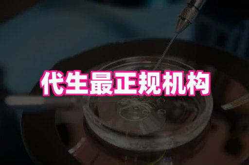 东莞助孕网站 3