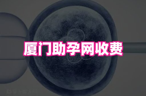 东莞助孕网站 4